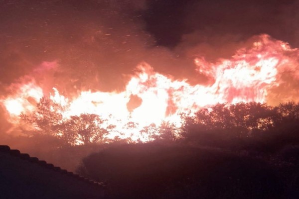 Πύρινη κόλαση στην Ηλεία: Μαίνεται ανεξέλεγκτη η φωτιά στο Λιβαδάκι! Ενισχύονται οι πυροσβεστικές δυνάμεις (Video)