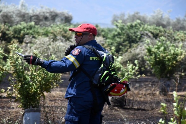 Συναγερμός στην Πυροσβεστική: Ξέσπασε πυρκαγιά στα Σπάτα - Επί ποδός και ομάδες εθελοντών