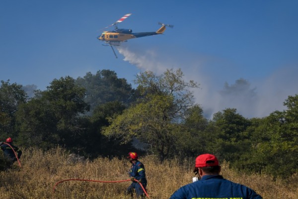 Πυρκαγιά καίει δάσος στη Φωκίδα: Συναγερμός στην Πυροσβεστική - Έσπευσαν και εναέρια μέσα