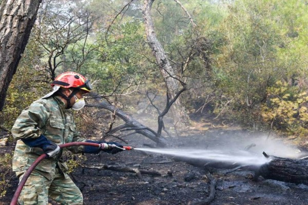Φωτιά στον Έβρο: Μάχη για να σωθεί το δάσος της Δαδιάς – Πολλά τα πύρινα μέτωπα