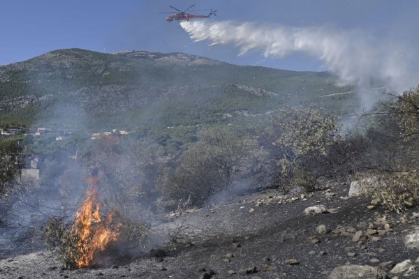 Φωτιά στο Πόρτο Κατσίκι – Επιχείρηση της Πυροσβεστικής και με εναέρια μέσα