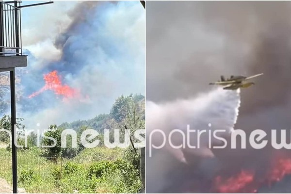 Φωτιά στην Ηλεία: Μάχη σε τρία μέτωπα – Επιχειρούν ισχυρές δυνάμεις της πυροσβεστικής (video)