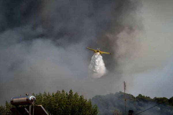 Φωτιά στη Θεσπρωτία - Η πυρκαγιά ξέσπασε στον οικισμό Σαγιάδα
