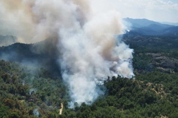 Ολονύχτια μάχη με τις φλόγες στη Δαδιά Έβρου - Δύο τα πύρινα μέτωπα