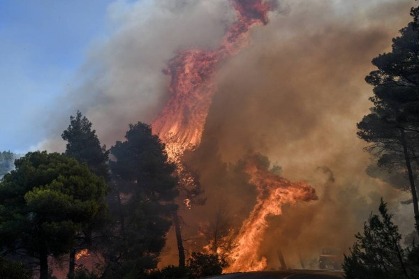 Φωτιά στον Έβρο: Οι πολύ δυνατοί άνεμοι δυσχεραίνουν την κατάσβεση - Ενισχύθηκαν οι πυροσβεστικές δυνάμεις