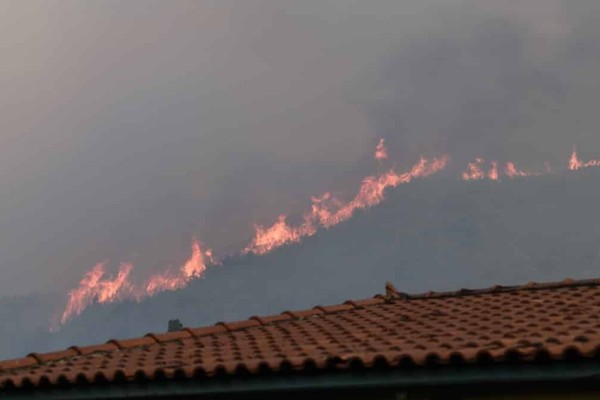 Σε συναγερμό η Πυροσβεστική: Πυρκαγιά ξέσπασε στην Ηλεία - Καίει δάσος