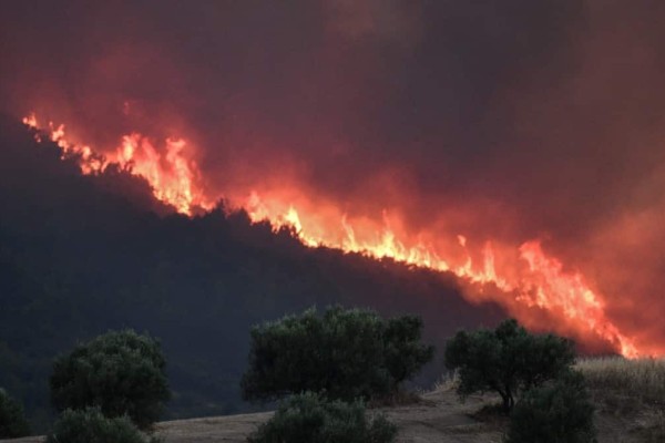 Φωτιά: Σε πύρινο κλοιό όλη η χώρα - Πώς διαμορφώνονται τα μέτωπα σε Έβρο, Μυτιλήνη και Ηλεία