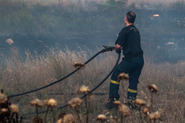 Φωτιά στον Κάλαμο: Επίγειες δυνάμεις στη μάχη της κατάσβεσης