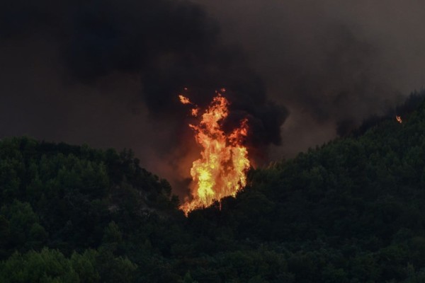 Νέος συναγερμός στην Πυροσβεστική: Φωτιά στα Κρέστενα!