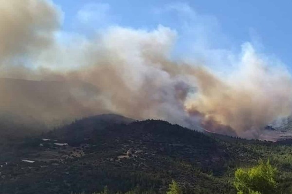 Φωτιά στο Νταού Πεντέλης: Νέο μήνυμα του 112 για εκκένωση από Ντράφι προς Παλλήνη - «Οι πολίτες να είναι σε εγρήγορση»