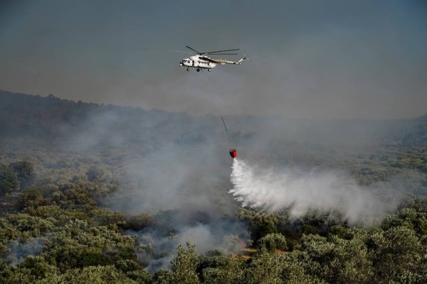 Φωτιά σε δασική έκταση στην Περιφερειακή Αιγάλεω -  Φλέγεται ξανά το Ποικίλο Όρος