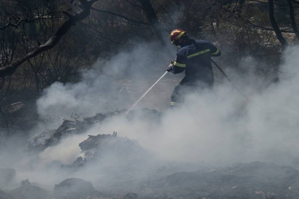 Φωτιά στον Πύργο Ηλείας: Μάχη με τις φλόγες στην Κορυφή