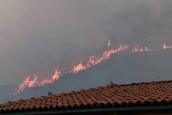 Μεγάλη πυρκαγιά στη Σάμο – Οι περιοχές που θα είναι «στο κόκκινο» την Πέμπτη (13/07)