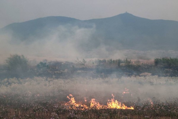 Φωτιά τώρα στο Δήμο Σαρωνικού, στην περιοχή Φέριζα