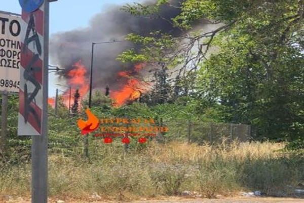 Φωτιά στην Ελευσίνα - Κοντά στην εθνική οδό οι φλόγες (photo)