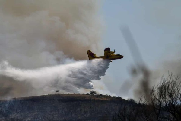 Φωτιά στην Ηλεία: Συνελήφθη κάτοικος της περιοχής για εμπρησμό - Οι περίεργες κινήσεις του