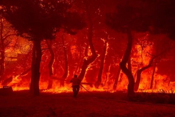 Πύρινα μέτωπα στην Ελλάδα: Συνεχίζεται η μάχη στη Δαδιά! Αναζωπύρωση στη Λέσβο & ύφεση στην Ηλεία (Video)