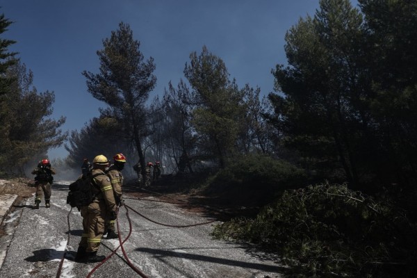 Φωτιά στην Πεντέλη: Αλλαγές στα δρομολόγια των λεωφορείων - Τί πρέπει να προσέξει ο κόσμος στις μετακινήσεις του (Video)