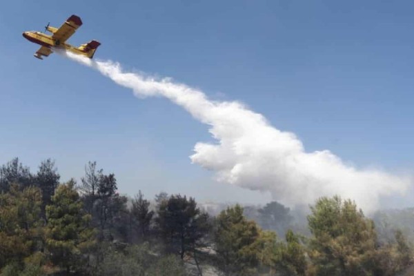 Φωτιά στην Ηλεία - Εναέρια μέσα στην κατάσβεση (photo)