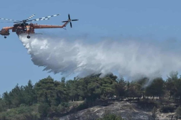 Φωτιά στο Μάζι Βοιωτίας - Στη μάχη της κατάσβεσης και εναέρια μέσα