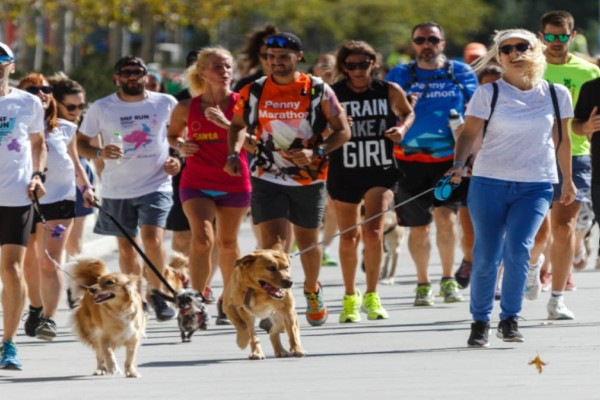 Για τέταρτη χρονιά το ΚΠΙΣΝ φιλοξενεί τα τελευταία 10 χιλιόμετρα του Penny Marathon