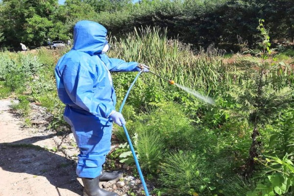 Ιός Δυτικού Νείλου: 13 κρούσματα - Έκκληση ΕΟΔΥ για μέτρα προφύλαξης από τα τσιμπήματα