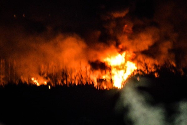 Συντριβή αεροσκάφους στην Καβάλα: Τι μετέφερε και πού πήγαινε το φορτίο - Η επίσημη δήλωση των Σέρβων (Video)