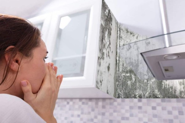 Μπόχα τέλος: 5 τρόποι για να ξεφορτωθείτε τη μυρωδιά υγρασίας από το σπίτι!