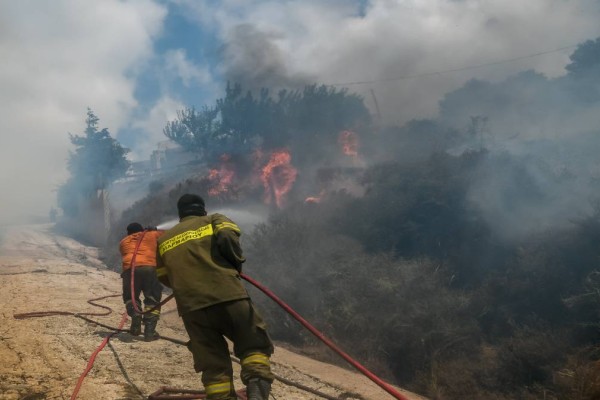 Φωτιά στα Ψαχνά της Εύβοιας