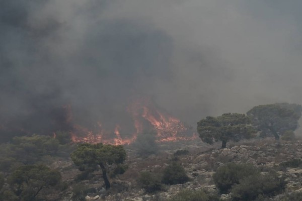 Μεγάλη φωτιά στο Λογγίτσι Στυλίδας – Επιχειρούν επίγειες και εναέριες δυνάμεις