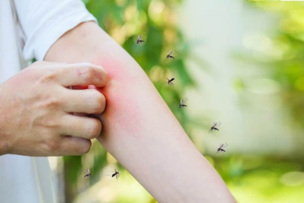 Απαλλαγή από κάθε κουνούπι στο σπίτι: Το μείγμα από λεμόνι και μπαχαρικά που θα σας σώσει!