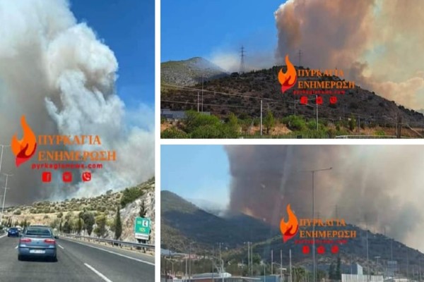 Φωτιά κοντά στα διόδια της Ελευσίνας:  Προληπτική εκκένωση της Άνω Βλυχάδας! Έκλεισε η Αθηνών-Κορίνθου (photo-video)