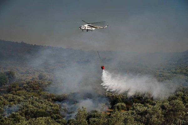 Φωτιά στην Ξάνθη: Καίγεται δασική έκταση στην Αχλαδιά
