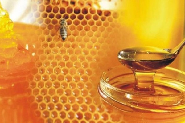 Σάλος: Δεν φαντάζεστε από που προέρχεται το μέλι που τρώμε και μας το παρουσιάζουν για ελληνικό! (photo)