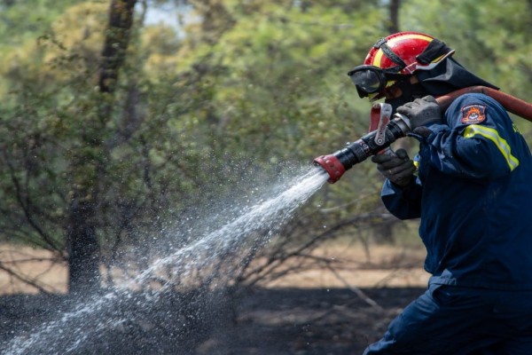 Φωτιά στο Γύθειο: Μεγάλη κινητοποίηση της Πυροσβεστικής - Εναέριες και επίγειες δυνάμεις στη μάχη με τις φλόγες