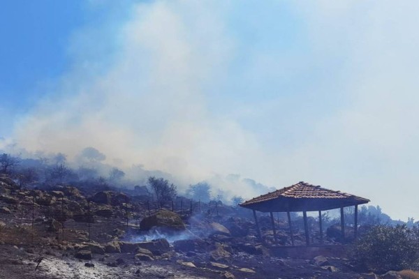Φωτιά στην Λέσβο - Μάχη για να μην απειληθεί μεγάλο δάσος (φωτο)