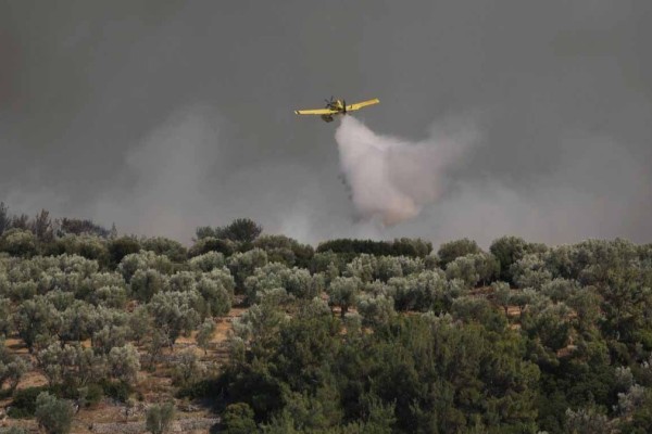 Ναύπακτος: Φωτιά σε εξέλιξη σε δασική περιοχή