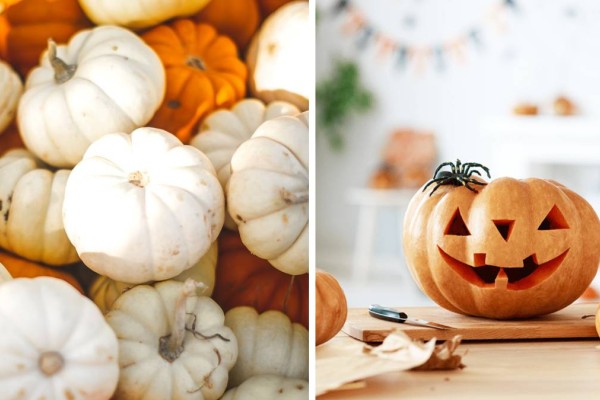 Happy Halloween πριν η κολοκύθα σας μουχλιάσει! Tips για να τη διατηρήσετε σώα και αβλαβή