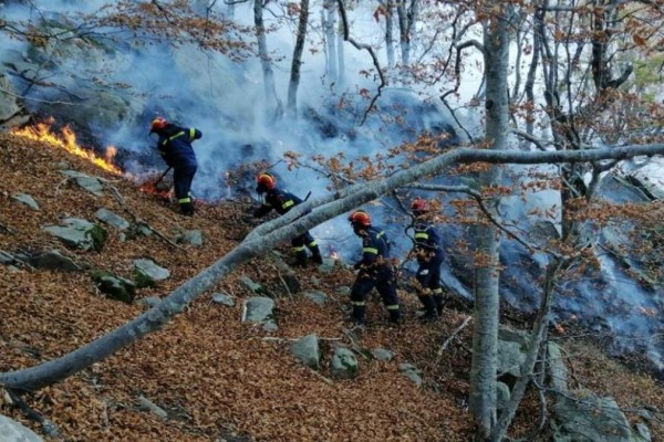 Ατελείωτη τραγωδία στη Ροδόπη: Καίγεται για 11η μέρα το Παπίκιο όρος - Σε απόγνωση οι κάτοικοι