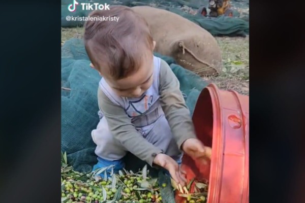 Κρήτη Viral: Ο 2χρονος προκωμμένος αγρότης που κάνει όλες τις αγροτικές δουλειές μόνος του (video)