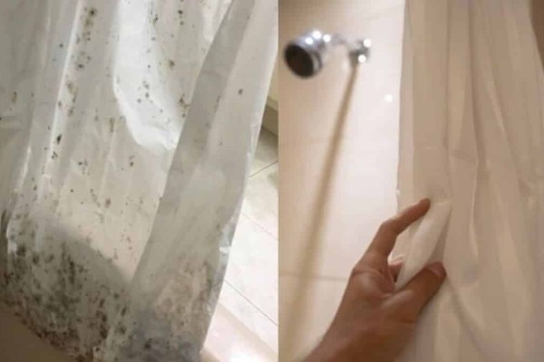 Μούχλιασε η κουρτίνα του μπάνιου; Το εύκολο κόλπο για να εξαφανίσετε τις βρομιές ανέξοδα