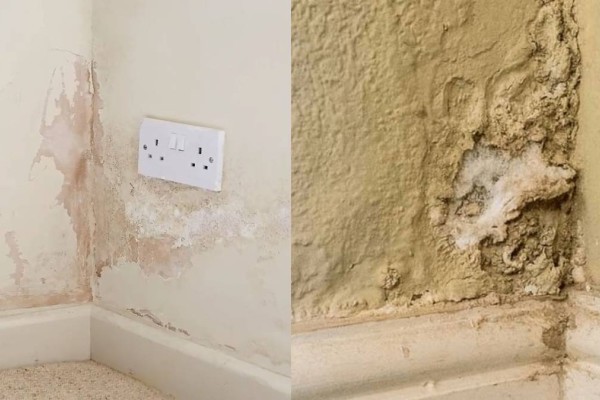 Υγρασία στους τοίχους: Το κόλπο με το αλάτι και άλλα 2 υλικά που θα την εξαφανίσει στη στιγμή