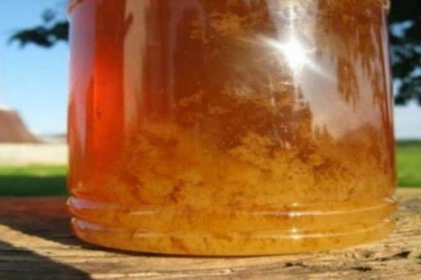 Μεγάλη προσοχή: Τι σημαίνει όταν κρυσταλλώνει το μέλι;