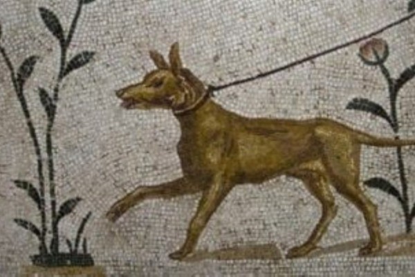 Κόραξ, Εύβολος, Σκαφτιάς...: Αυτά είναι τα πιο περίεργα ονόματα που έδιναν οι Αρχαίοι Έλληνες στα σκυλιά τους