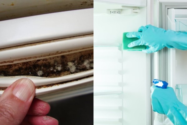 Μούχλα στο λάστιχο ψυγείου: Το κόλπο με την μαγειρική σόδα για να την καθαρίσετε δραστικά στο λεπτό