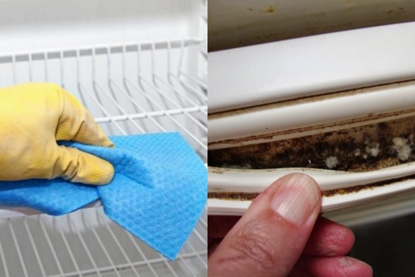 Μούχλα στο λάστιχο ψυγείου: Το κόλπο με την μαγειρική σόδα και 3 ακόμα υλικά για να την καθαρίσετε δραστικά στο λεπτό