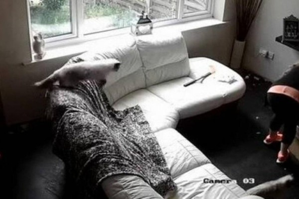 39χρονη έβαλε κρυφή κάμερα στο σπίτι - Έπαθε σοκ όταν είδαν τι έκανε η babysitter (photos)