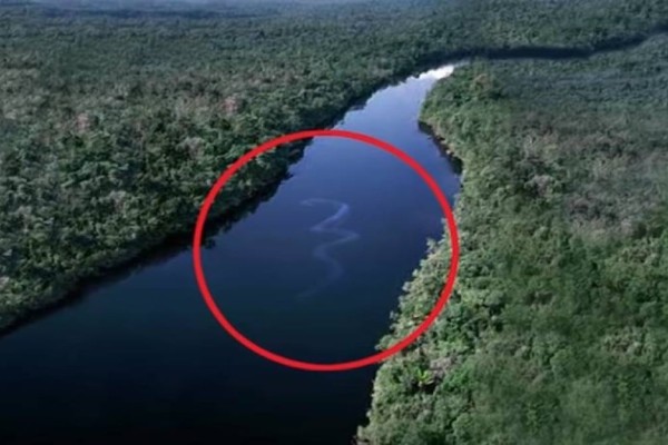 Κάμερα κατέγραψε το μεγαλύτερο φίδι του κόσμου - «Πάγωσαν» και οι πιο ψύχραιμοι με το πραγματικό του μήκος!