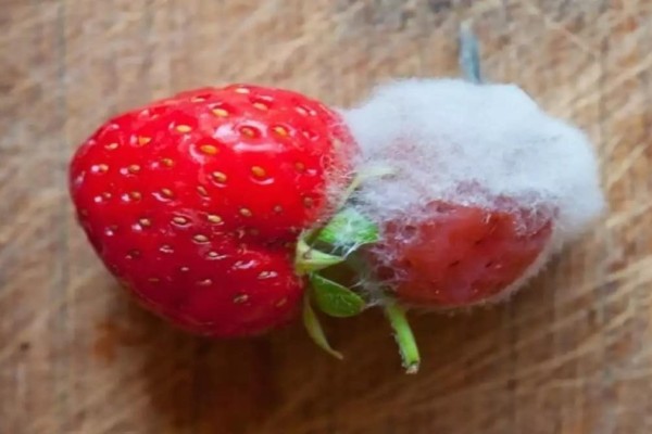 «Σκοτώνει» τη μούχλα στα φρούτα - Σούπερ κόλπο για να μην την ξαναδείτε στο ψυγείο