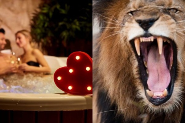 Στιγμές τρόμου: Δέχθηκε επίθεση από λιοντάρι την ώρα που έκανε τζακούζι με τη σύζυγό του